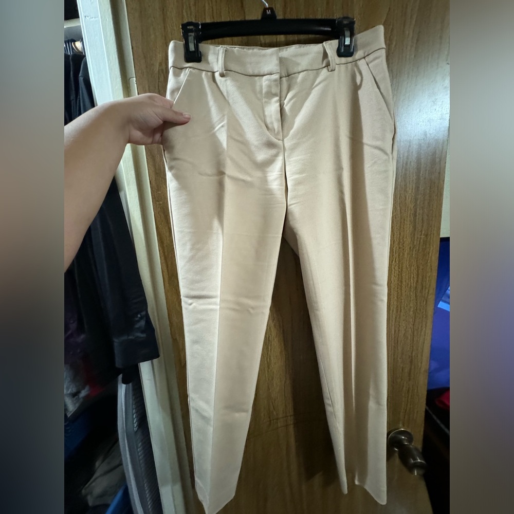 EXPRESS beige/tan dress up pants